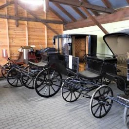 Kocsi Múzeum, Kocs - Belső