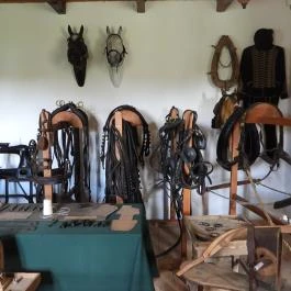 Kocsi Múzeum, Kocs - Egyéb