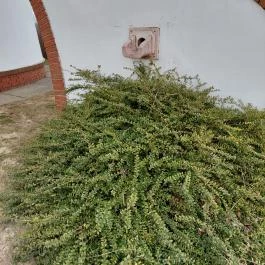 Kőhegyi-kilátó Zamárdi - Egyéb