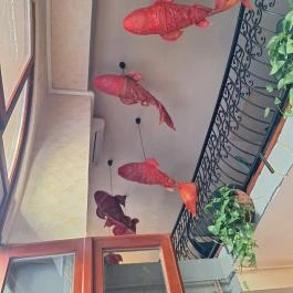 Koi Étterem Budapest - Egyéb