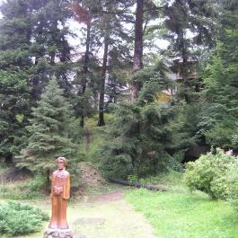 K?kapu Vadászkastély és Hotel & Apartments, Nagyhuta - Környék