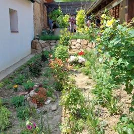 Kőkút Kert Vendéglő, Kékkút - Egyéb