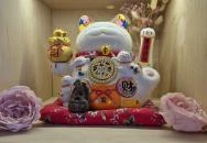 KOLAB Café - Móricz, Budapest Budapest