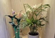 KOLAB Café - Móricz, Budapest Budapest