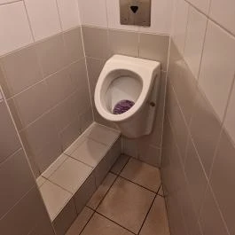 Kolbászda Vendéglátó Gasztronómiai Kft., Budapest - Mosdó