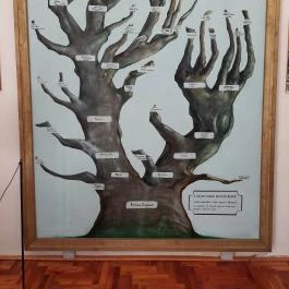 Kölcsey Ferenc Emlékszoba Szatmárcseke - Egyéb