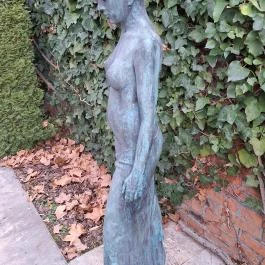 Koller Galéria Budapest - Egyéb