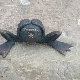 Kolodko: Békalábas usanka, Budapest - Egyéb