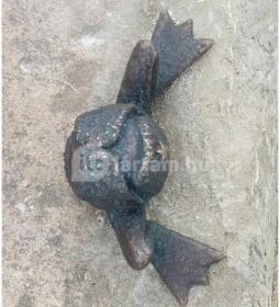 Kolodko: Békalábas usanka