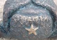 Kolodko: Békalábas usanka Budapest