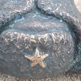 Kolodko: Békalábas usanka, Budapest - Egyéb