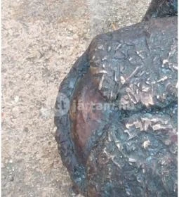 Kolodko: Békalábas usanka