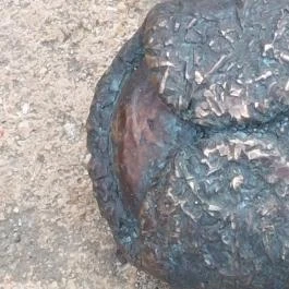 Kolodko: Békalábas usanka, Budapest - Egyéb