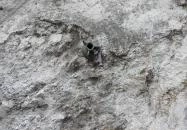 Kolodko: Bombán csüngő Vuk miniszobor Budapest