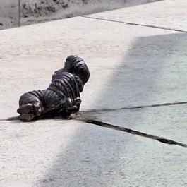 Kolodko: Chuck Norris miniszobor, Budapest - Egyéb