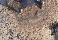 Kolodko: Dróntámadás miniszobor, Budapest Budapest