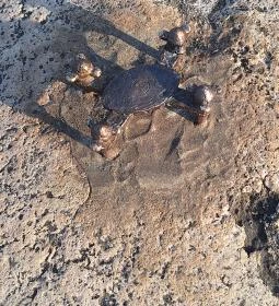 Kolodko: Dróntámadás miniszobor, Budapest