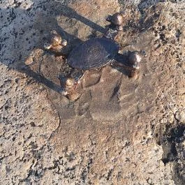 Kolodko: Dróntámadás miniszobor, Budapest Budapest - Egyéb