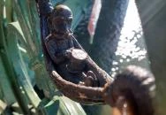 Kolodko: Ferenc József miniszobor Budapest