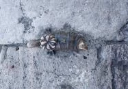 Kolodko: Főkukac miniszobor Budapest