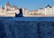 Kolodko: Főkukac miniszobor Budapest