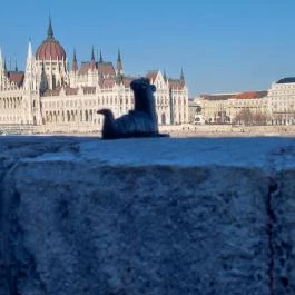 Kolodko: Főkukac miniszobor Budapest - Egyéb