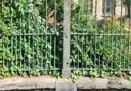 Kolodko: Garfield Budapest