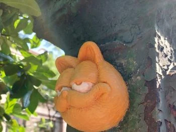 Kolodko: Garfield Budapest