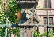 Kolodko: Garfield Budapest