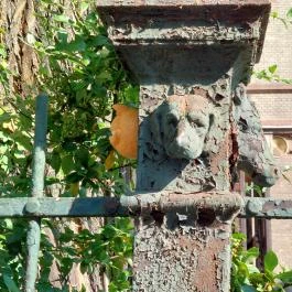 Kolodko: Garfield, Budapest - Egyéb