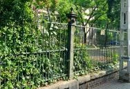 Kolodko: Garfield Budapest