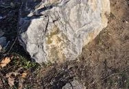 Kolodko: Hanti vadász Budapest