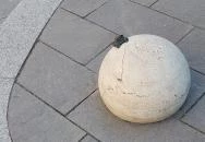 Kolodko: Holdjáró miniszobor Budapest