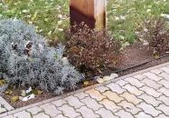 Kolodko: Kállay János Péter miniszobra Biri