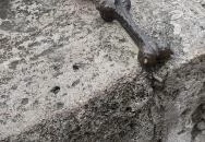 Kolodko: Lufikutya csonttal miniszobor Budapest