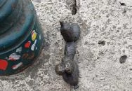 Kolodko: Lufikutya csonttal miniszobor Budapest