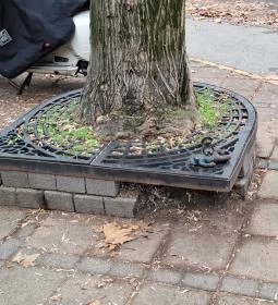 Kolodko: Mása és Paddington miniszobor, Budapest