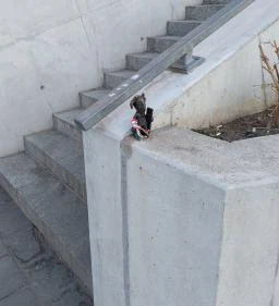 Kolodko: Mekk Elek miniszobor