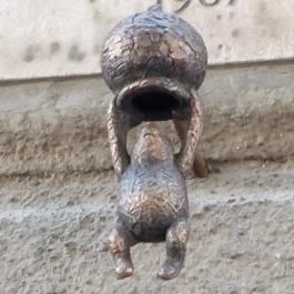 Kolodko: Micimackó , Budapest - Egyéb