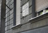 Kolodko: Micimackó Budapest