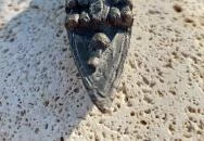 Kolodko: Orosz hadihajó miniszobor Budapest