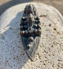 Kolodko: Orosz hadihajó miniszobor