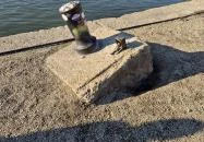 Kolodko: Piszkos Fred miniszobor Budapest