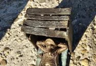 Kolodko: Piszkos Fred miniszobor Budapest