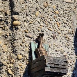 Kolodko: Piszkos Fred miniszobor Budapest - Egyéb