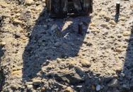 Kolodko: Piszkos Fred miniszobor Budapest