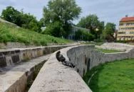 Kolodko: In vino veritas miniszobor Budapest