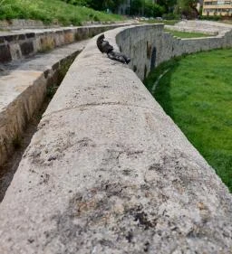 Kolodko: In vino veritas miniszobor