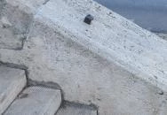 Kolodko: Rubik kocka miniszobor Budapest