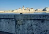 Kolodko: Szomorú tank miniszobra Budapest